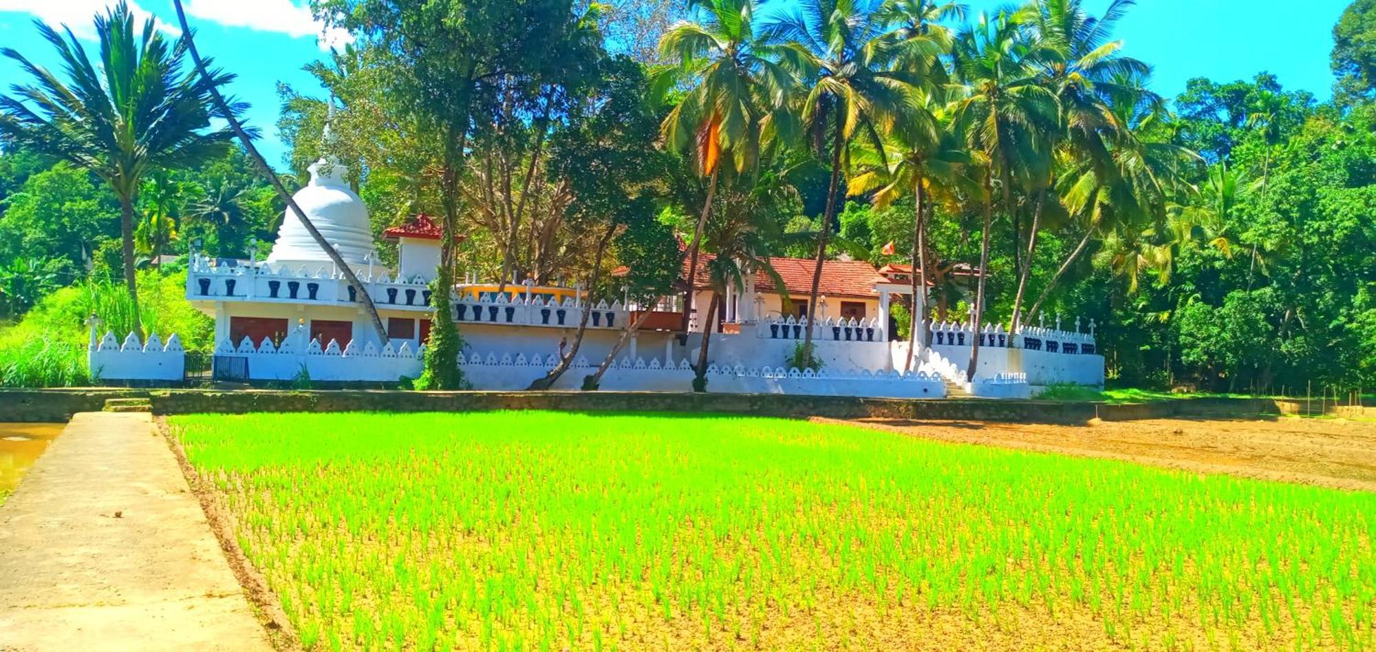 شقة Galkotuwa Estate *